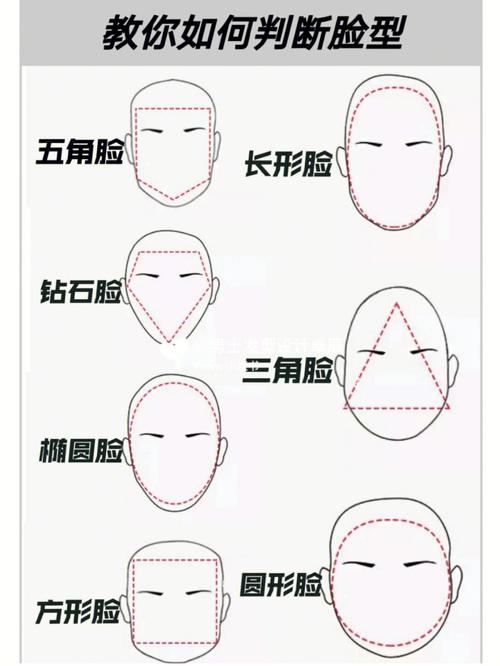 脸型教你发型适合完美(发型脸型教你完美适合)