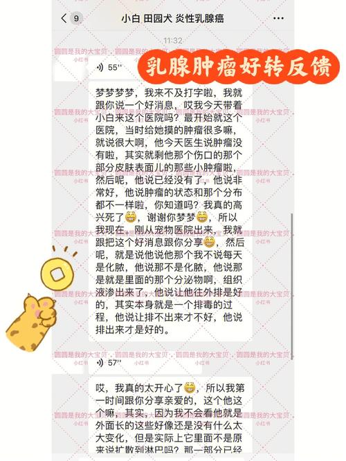 试药羸弱余生撑起(试药患者肿瘤医院项目肿瘤)