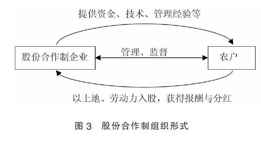 如何做员工行业平台(干货平台店面如何做合作制)