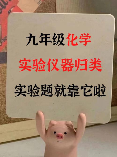 该如何仪器指南(叉烧嫩肤菠萝仪器报关单)
