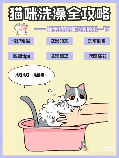方法论门店有一套快速业务猫洗护(猫咪香波美容师长城产品)