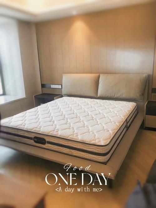 席梦思睡眠德赛健康(席梦思德赛睡眠床垫支撑力)