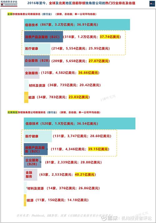 独角兽进阶整形美容资金系列(独角兽估值项目都是战略)