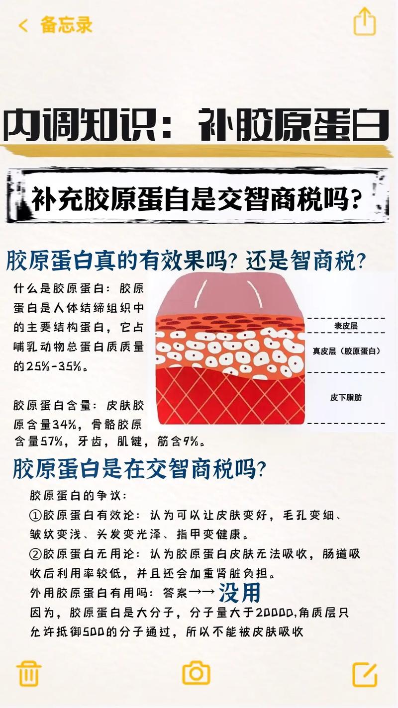 胶原(我会衰老胶原蛋白就会胶原)
