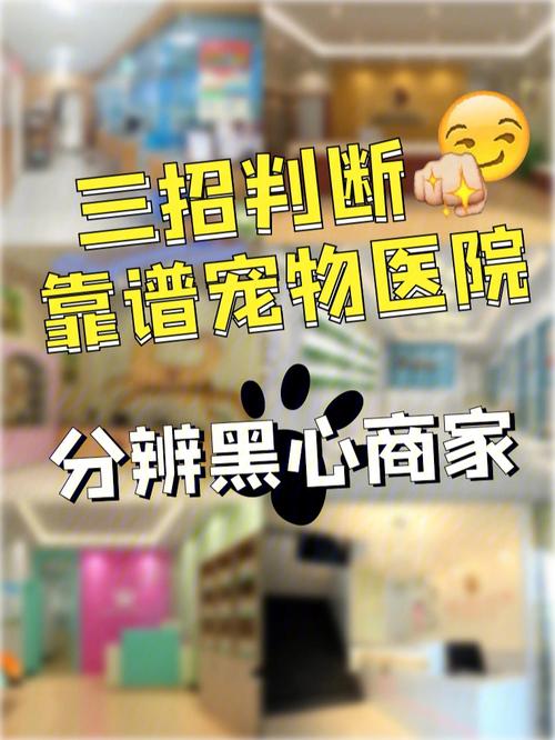 互联服务商宠物医院商家指南(服务商商家互联平台宠物医院)