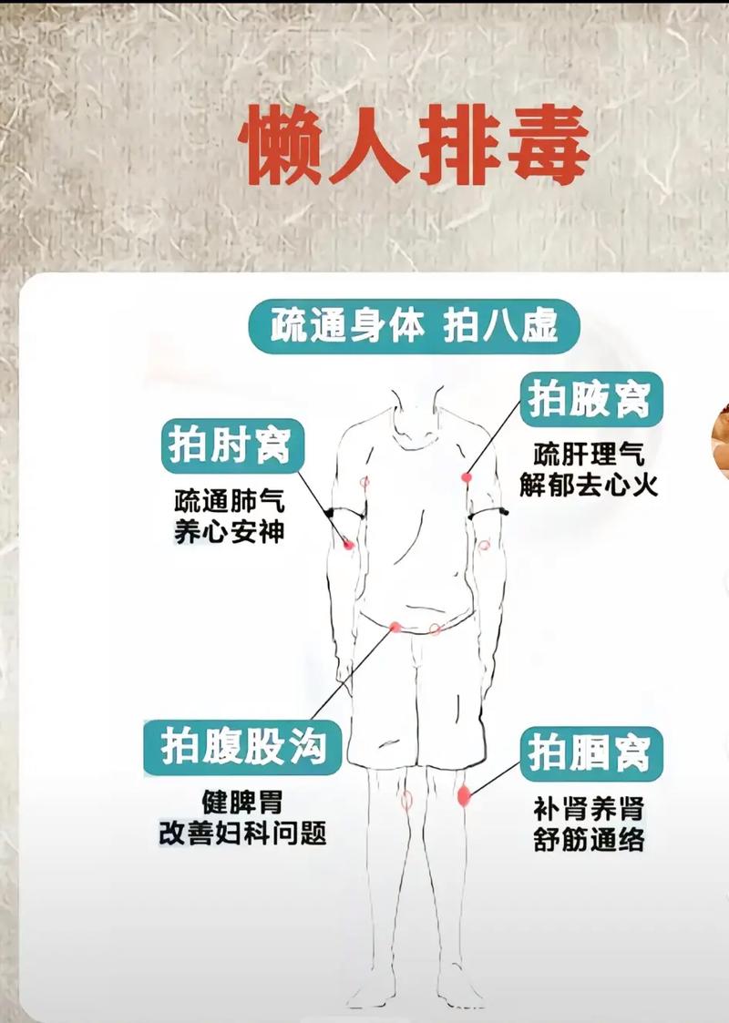 体式排毒不老容颜简易成就(体式排毒简易不老容颜)
