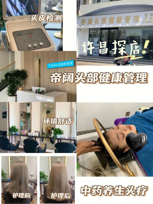 两家月入头疗店(自己的两家月入头皮行业)