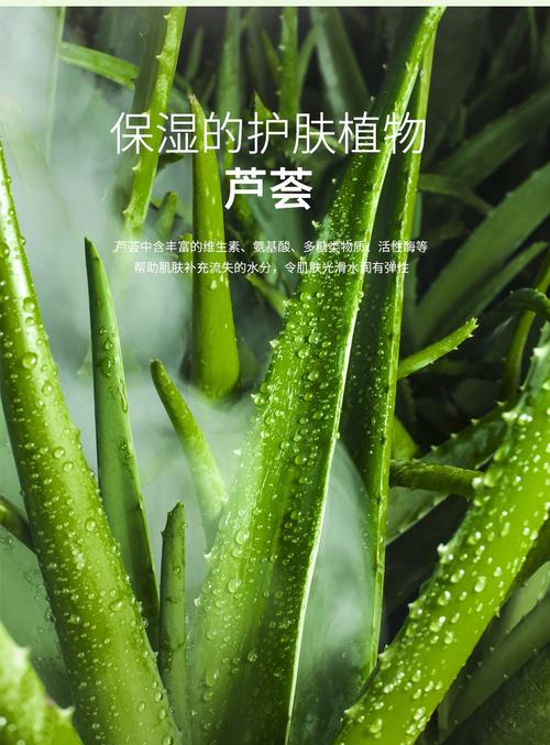 毛孔洗个肌肤清洁(毛孔肌肤清洁污垢芦荟)