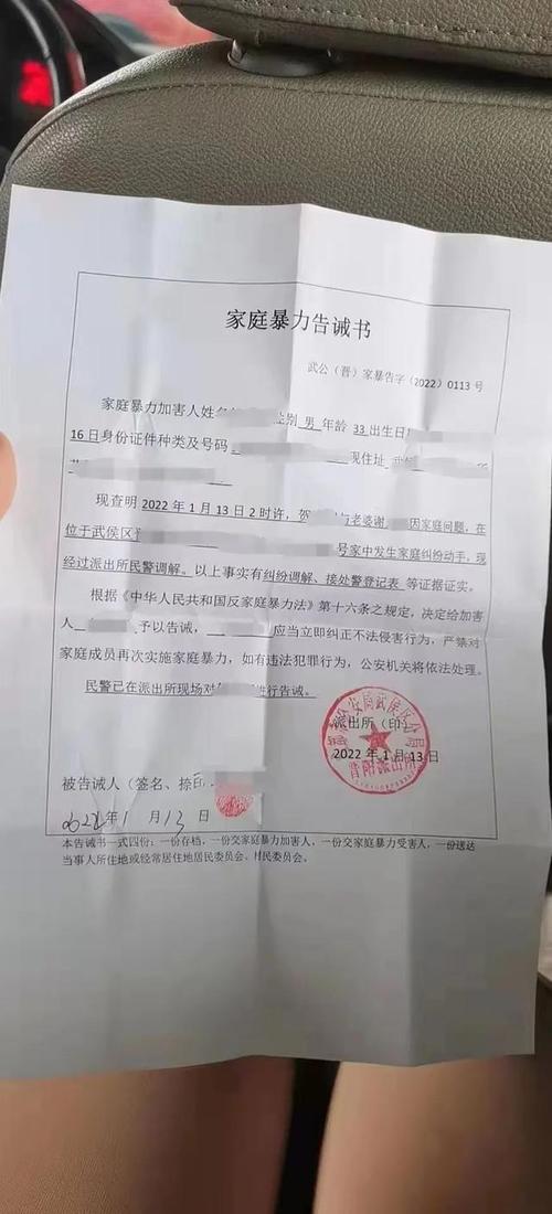 两年法庭走进了被家暴(自己的法庭两年新京报的人)
