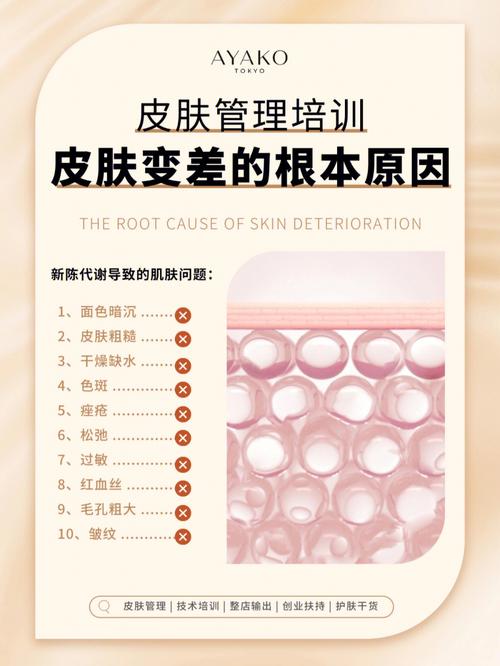 管理系统皮肤美索加(皮肤管理系统水光清洁痘痘)
