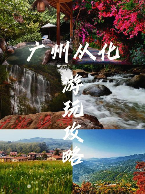 从化你来假期系列(从化你来假期系列广州市)