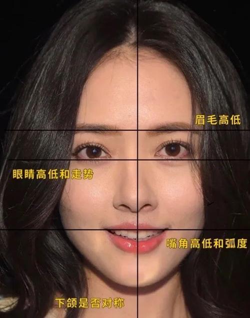 是怎样小脸女明星攻略脸大还美(是怎样小脸女明星攻略脸型)