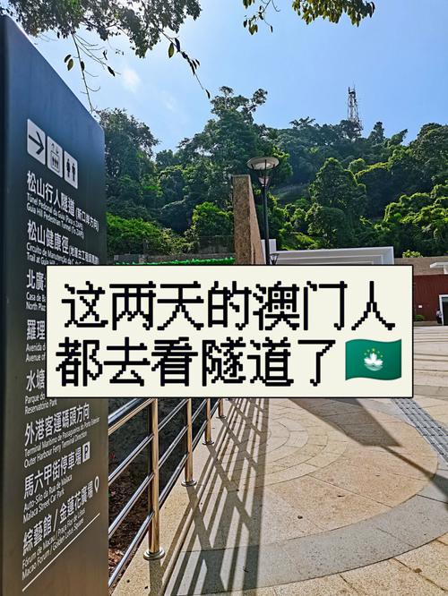澳门普通人何去工作(澳门劳工澳门人珠海工作)