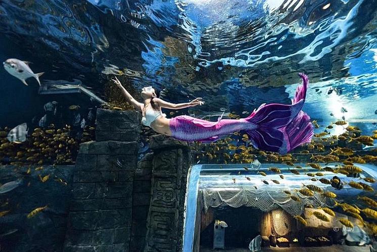 长沙美人鱼优雅(美人鱼水下在线记者长沙)