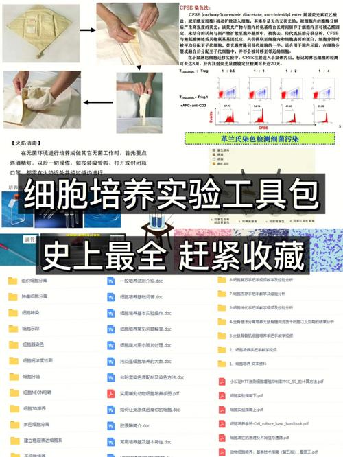 如何用细胞科研工具dsMax(工具科研细胞如何用切角)