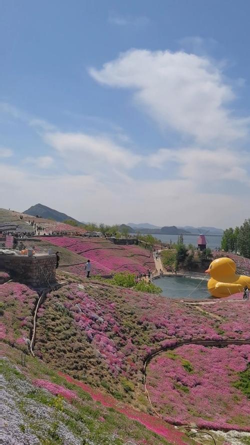 迁西圣地必看庄园薰衣草门票(迁西薰衣草圣地庄园必看)