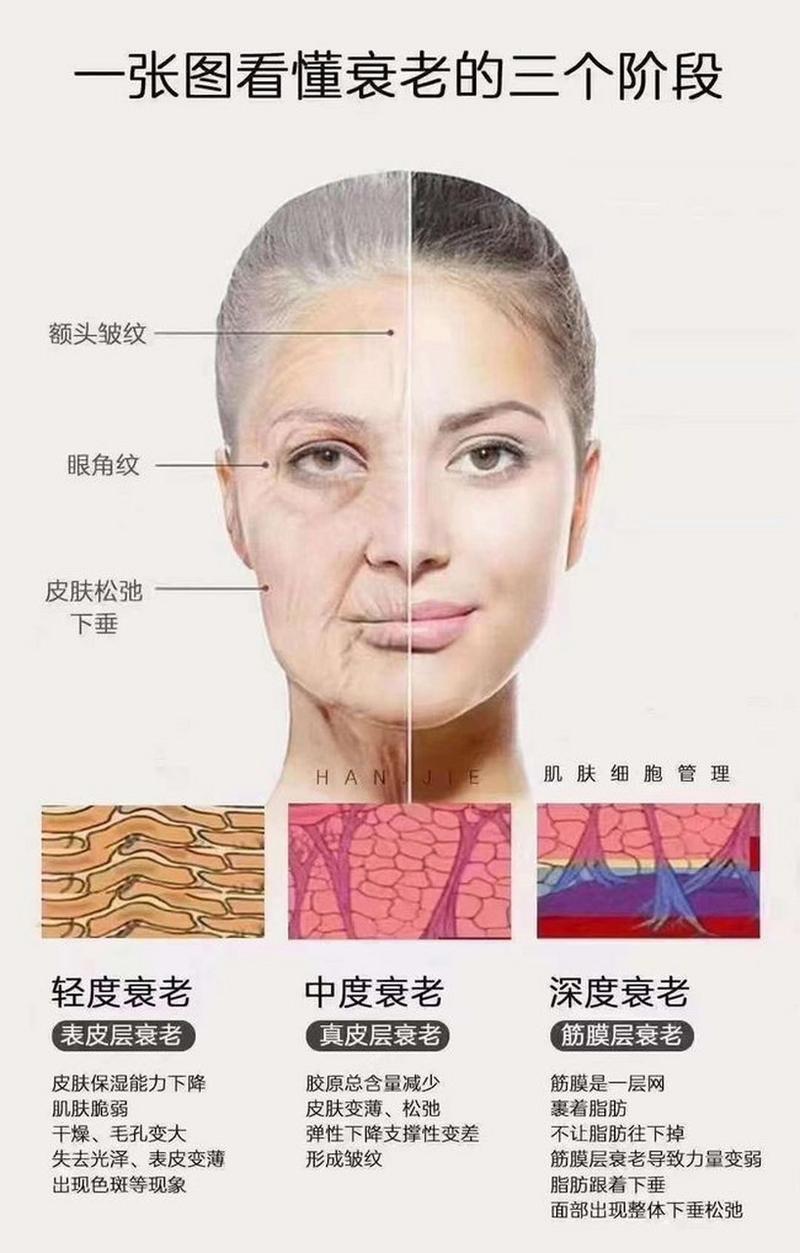 面部轮廓内涵年龄(面部衰老轮廓皱纹抗衰老)