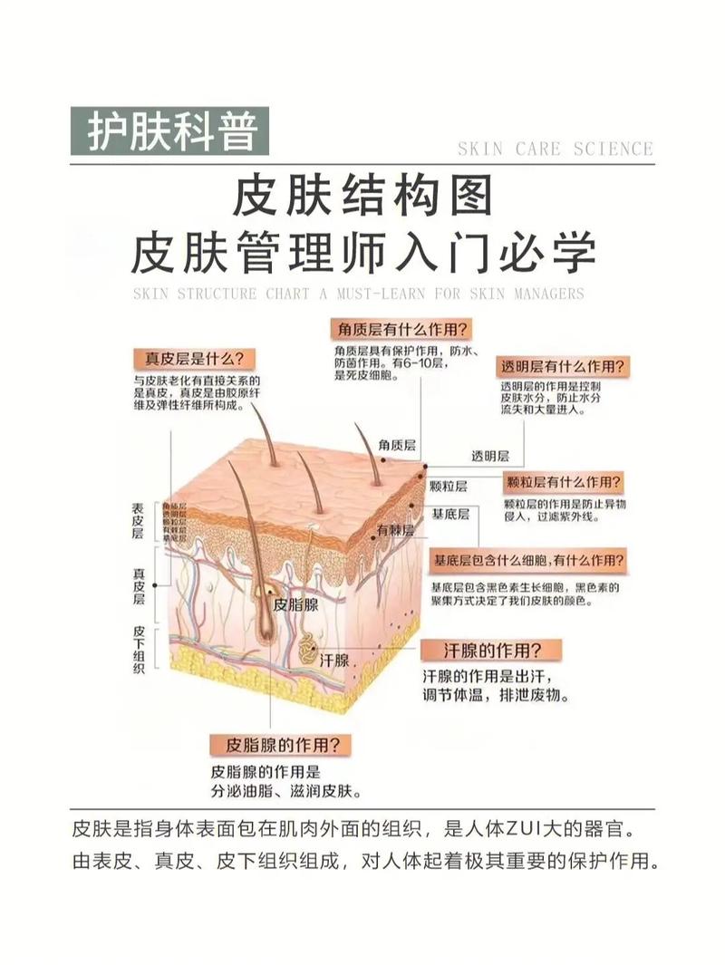 等你皮肤事业美丽(皮肤经营策略行业等你开一家)
