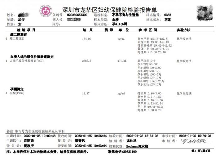 功法岭南妇科新年伊始(妇科广东省岭南功法宋体)