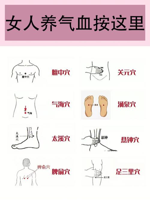 排毒汗蒸真(经络气血身体排毒穴位)
