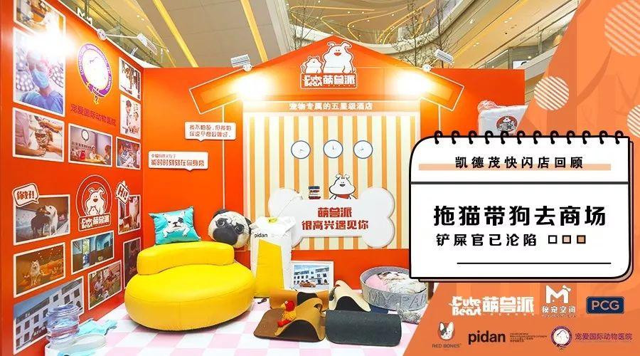 快闪宠物品牌(宠物品牌店内快闪产品)