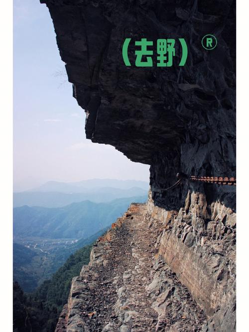 响亮山之名字项目(计划项目杂家飞鹰寓意)