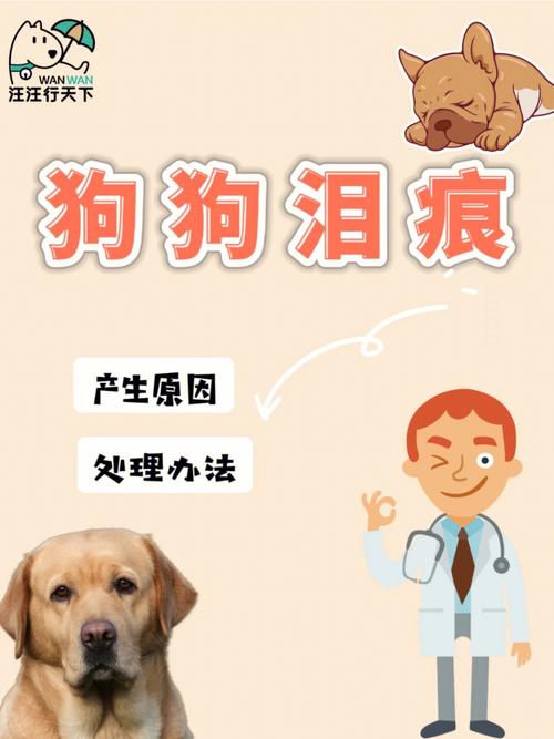 养狗经验(狗狗肛门太郎宠物店泪痕)