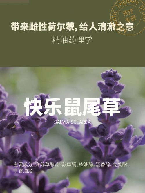 精油人味女人快乐鼠尾草(精油鼠尾草快乐雌激素人味)