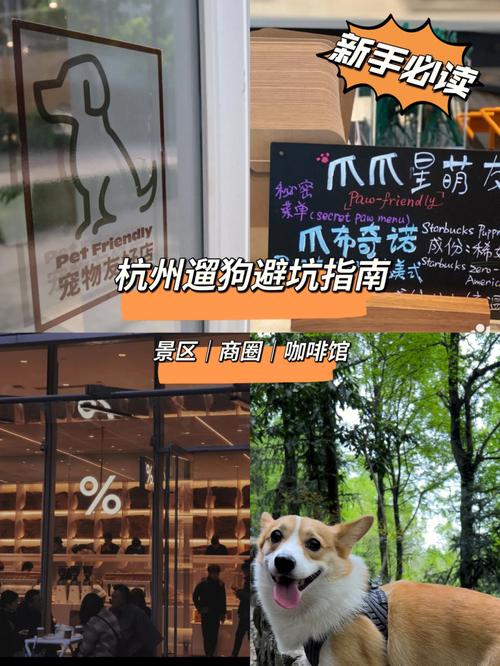 我来专业帮你养狗困惑事情(卡尺我来专业帮你杭州)