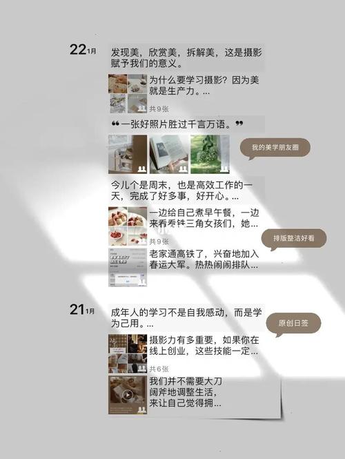 朋友圈心理媒体行业平台(媒体流量平台心理视频)