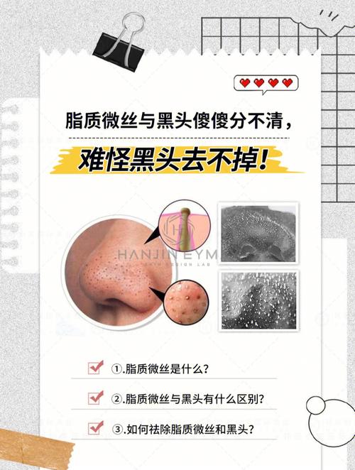 细胞(黑头细胞粉刺毛孔小美)