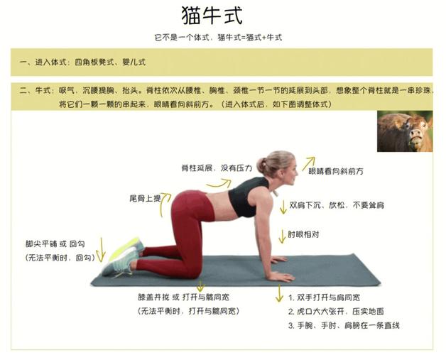 体式几个你能瑜伽动物(体式瑜伽几个你能下图)