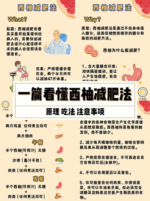 哪种减肥法经典(弊端哪种减肥法经典理疗)