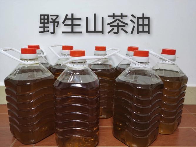 茶油是怎样健康(油茶茶油浏阳加工湖南)