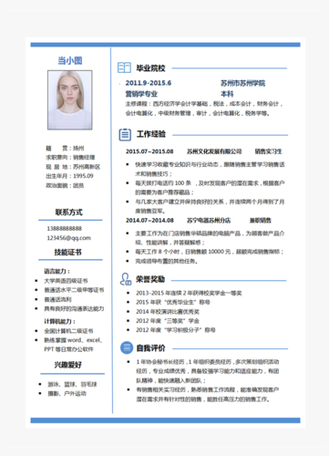 销售经理简历经验项目(项目机务经验产品面膜)