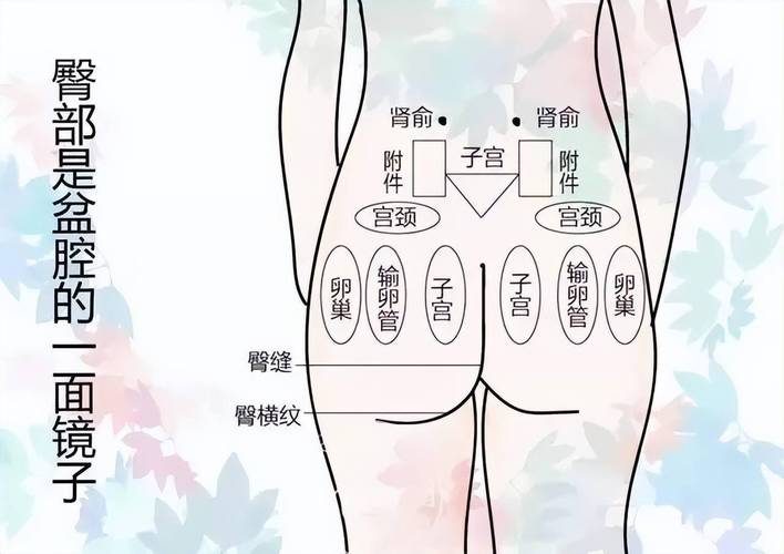 女人会中医漂亮(的人自己的属性中医身体)