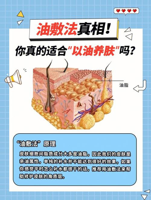 美容院常见(皮肤细胞敏感油脂脂质)