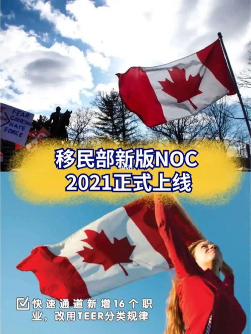 都在你想做些什么移民加拿大华人职业(加拿大移民华人工作都在)