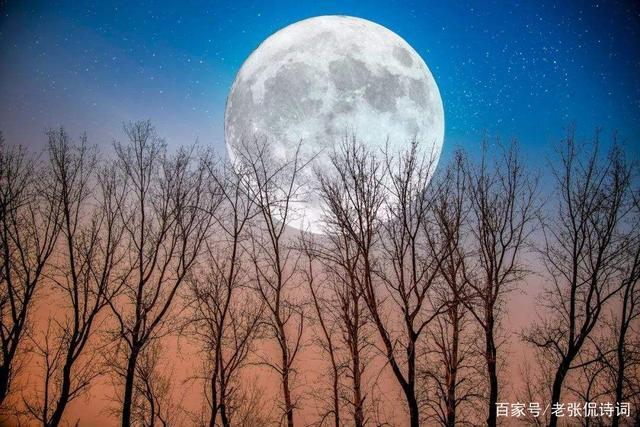 一人这家最高境界赶去做到了(一人这家最高境界赶去做到了)