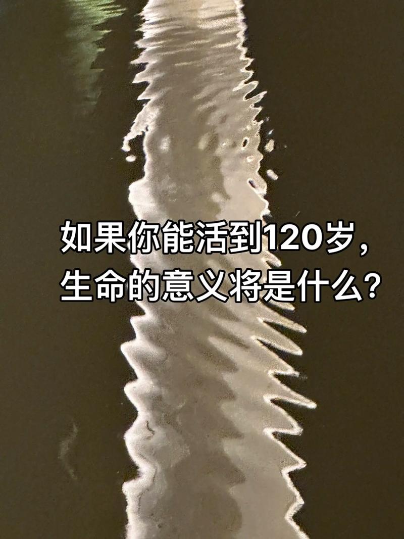 李开复:AI出现后,人类必要
重新思考“生而为人”的真正意义