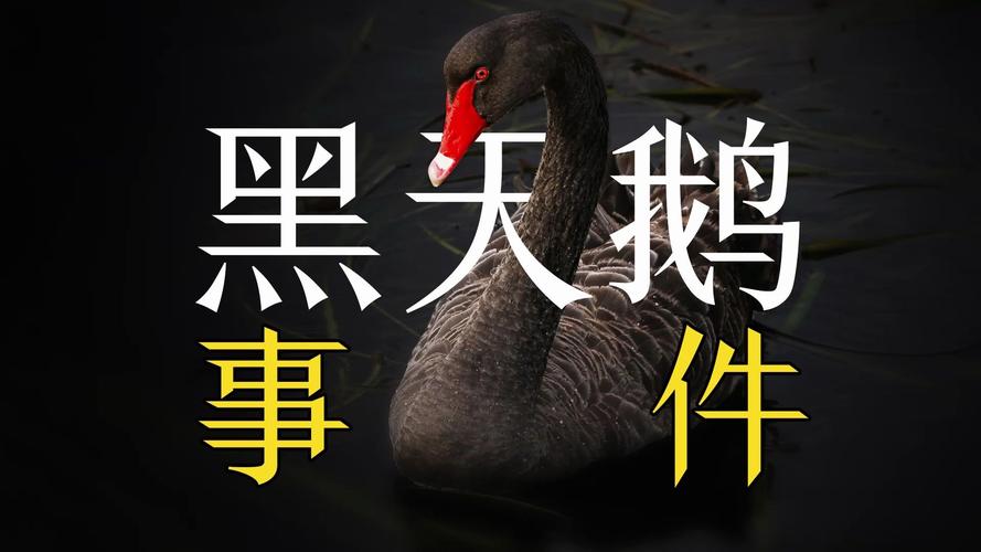 警惕
法国忽然
飞出“黑天鹅”!
