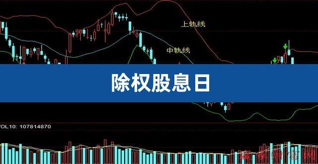 工大科雅(301197.SZ)拟10股派1元 于7月11日除权除息