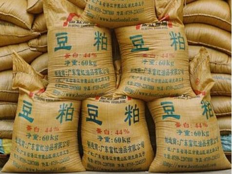 豆粕入口
什么