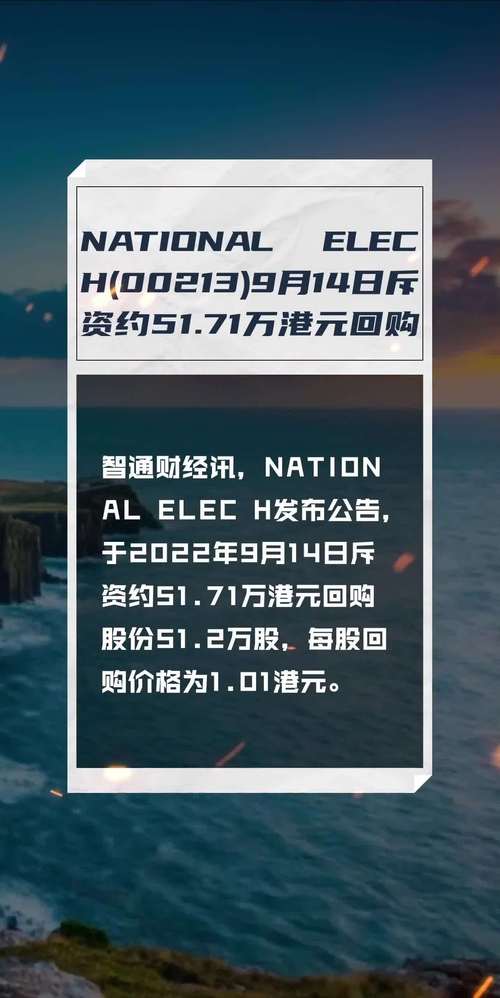 NATIONAL ELEC H(00213)7月15日回购2000股