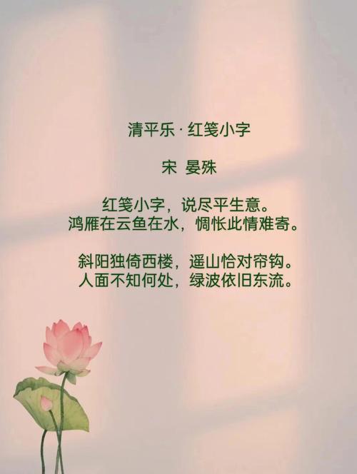 读懂5.0%的“难能惆怅”