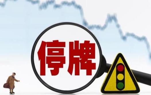 海印股份:拟购江苏巨电51%股权,股票停牌,收盘价0.86元