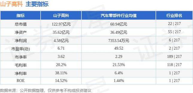 山子高科:收盘价首低于 1 元存风险